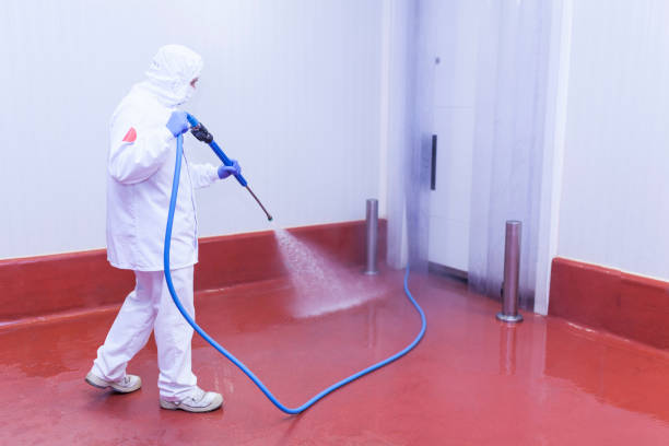 Best Warehouse Cleaning  in Meadows Place, TX