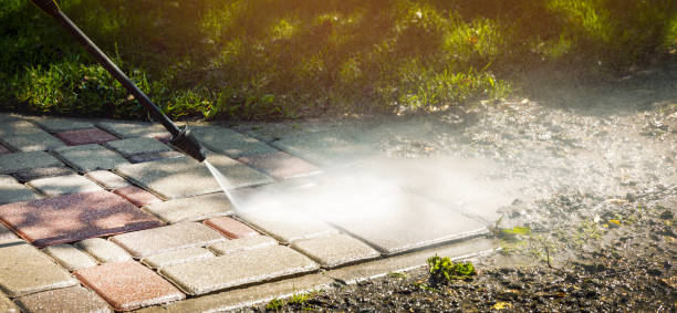 Best Solar Panel Cleaning  in Meadows Place, TX